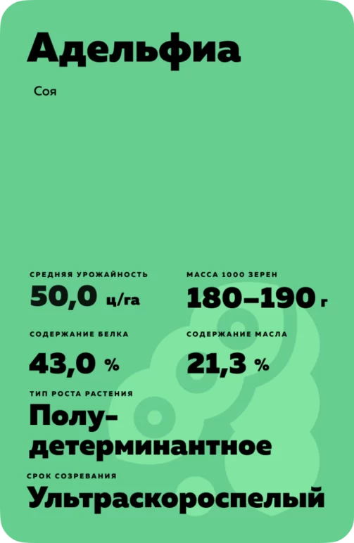 Адельфиа (ADELFIA) сорт сои