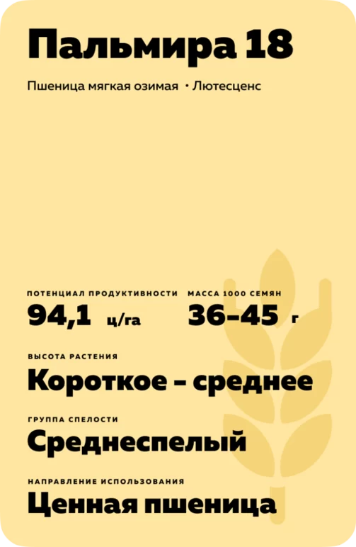 Пальмира 18 сорт мягкой озимой пшеницы