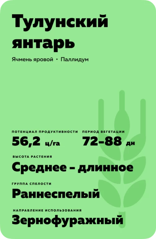 Тулунский янтарь