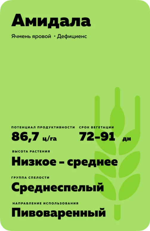 Амидала (AMIDALA) сорт овса ярового