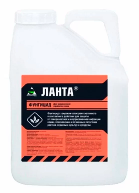 Ланта, КС