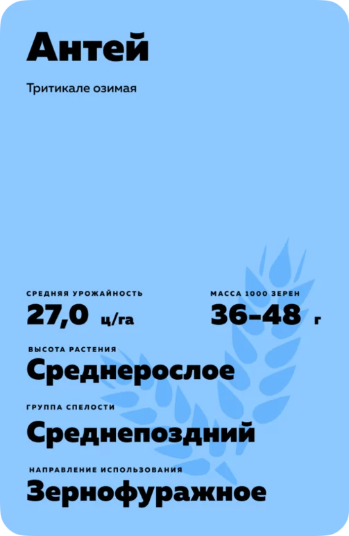 Антей