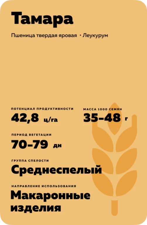 Тамара