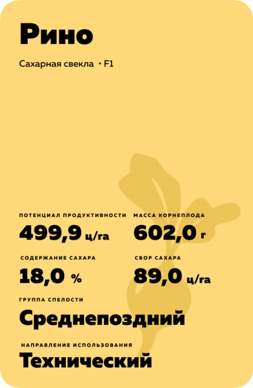 Рино