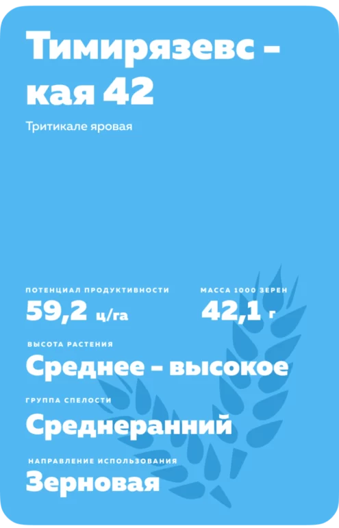 Тимирязевская 42 сорт тритикале яровой