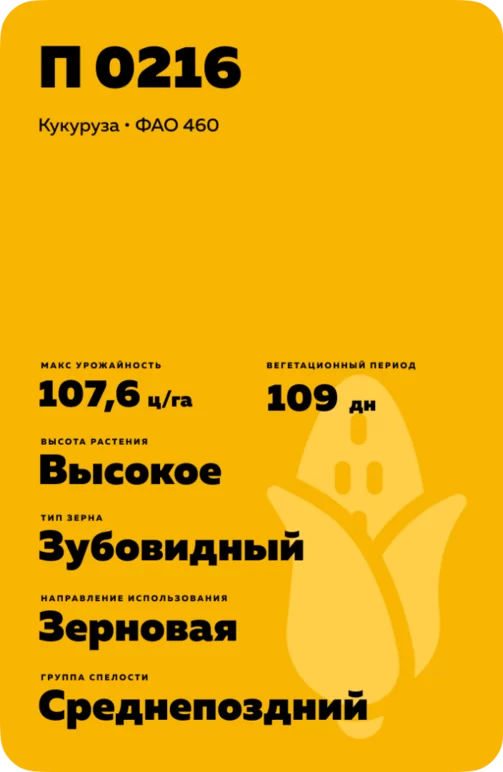 П 0216 - гибрид кукурузы Пионер