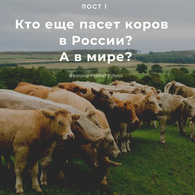 Кто еще пасет коров в России? А в мире?