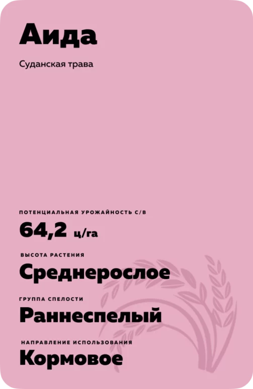 Аида - суданская трава. Характеристики и отзывы