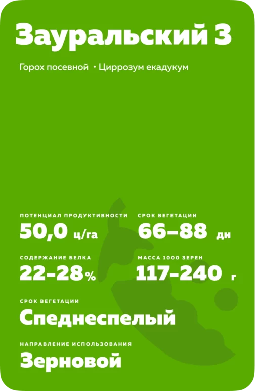 Зауральский 3 сорт гороха посевного