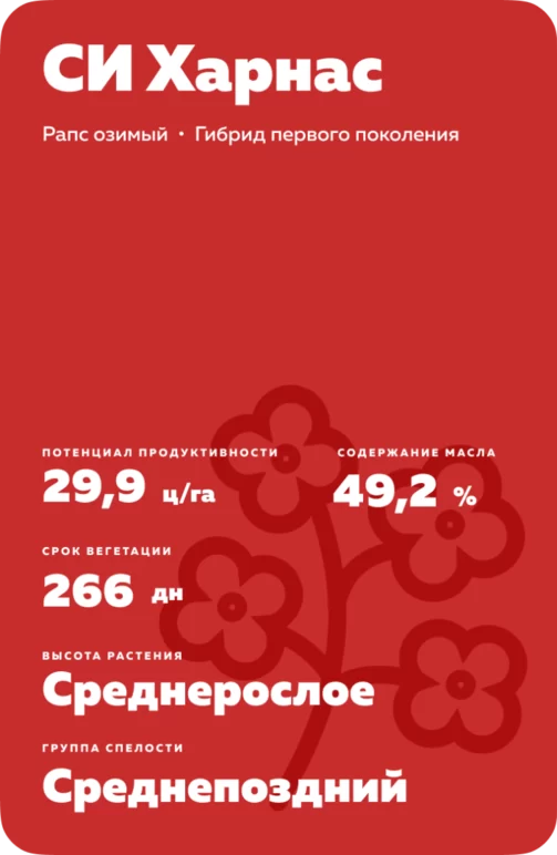 СИ Харнас (SY HARNAS) гибрид озимого рапса
