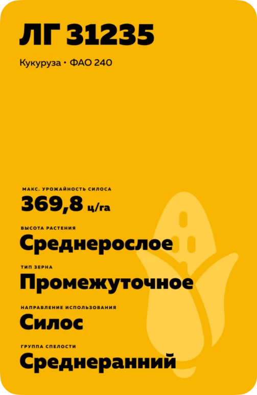 ЛГ 31235  гибрид кукурузы Лимагрейн