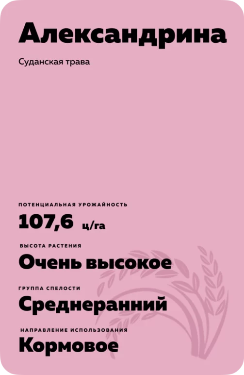 Александрина