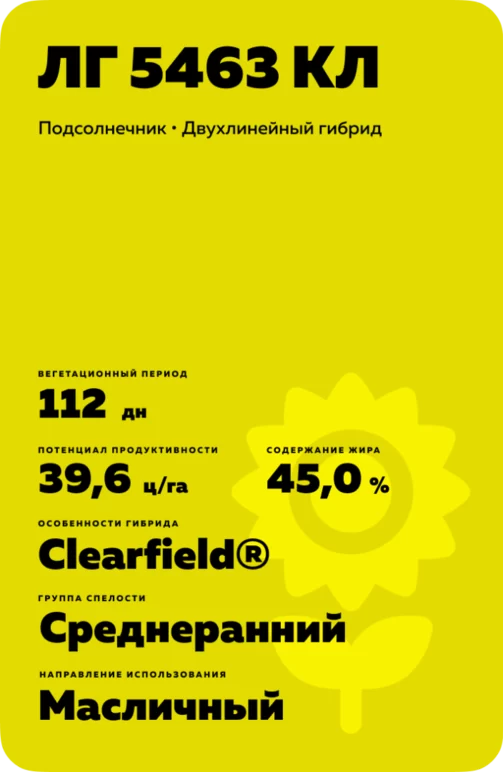 ЛГ 5463 КЛ подсолнечник