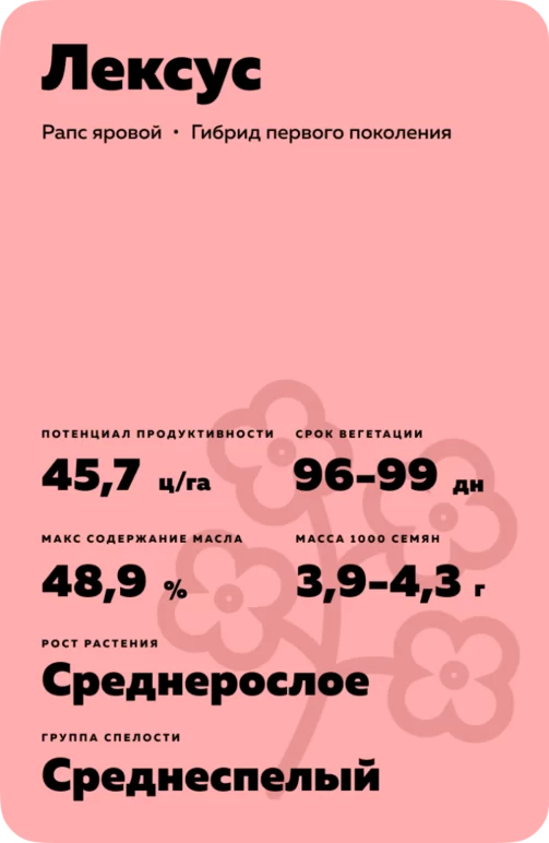 Лексус (LEXUS) рапс яровой