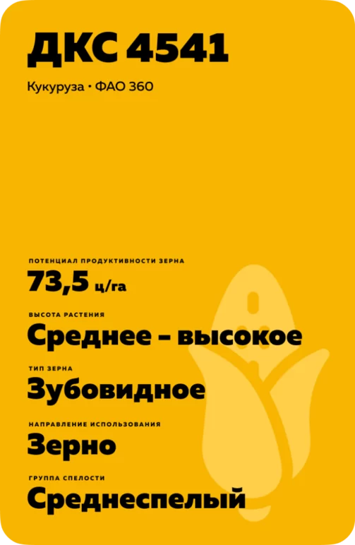 ДКС 4541 (DKC 4541) гибрид кукурузы
