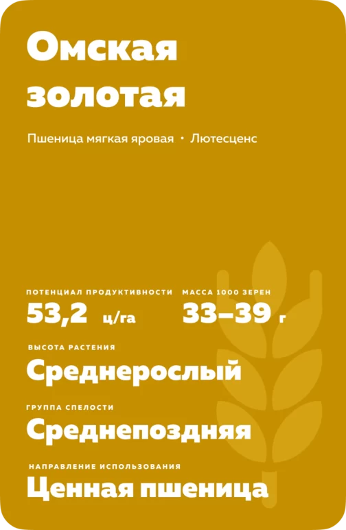 Омская золотая сорт мягкой яровой пшеницы