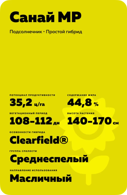 Санай МР гибрид подсолнечника