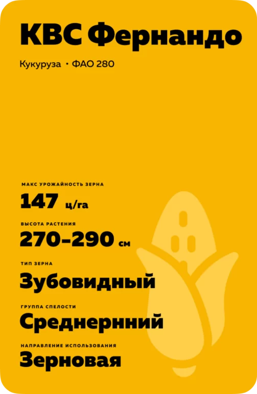 КВС Фернандо (KWS FERNANDO)
