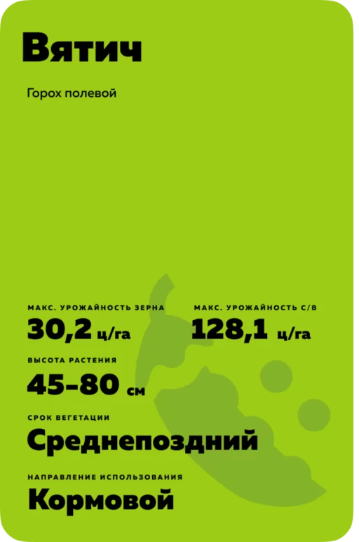 Вятич