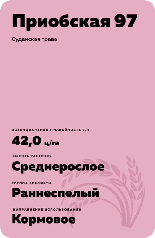 Приобская 97