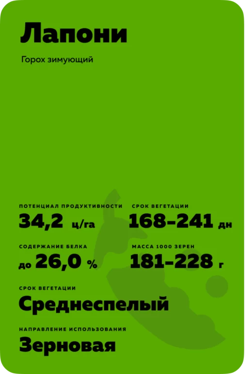 Лапони (LAPONY)