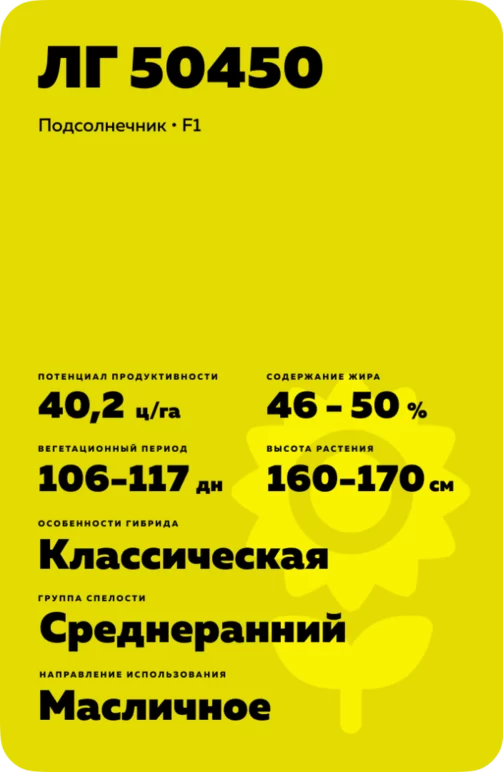 ЛГ 50450 (LG 50450) подсолнечник