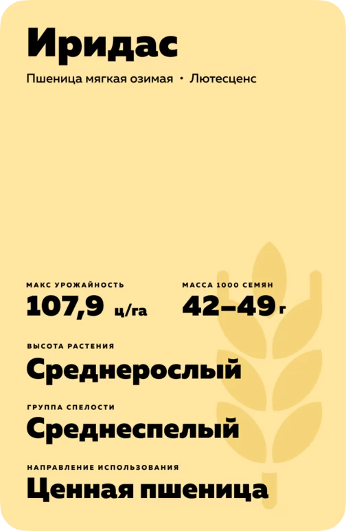 Иридас ® сорт мягкой озимой пшеницы
