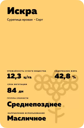 Искра