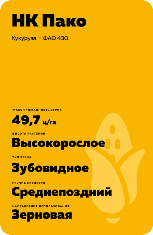 НК Пако (NK PAKO)