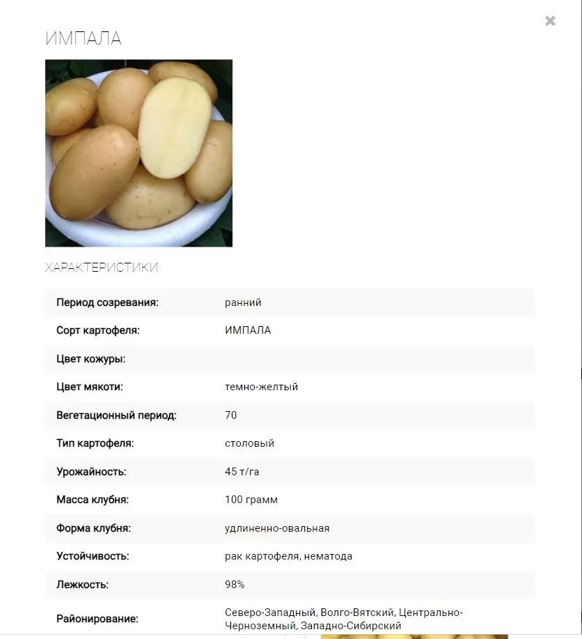Сорт Зекура картофель характеристика.