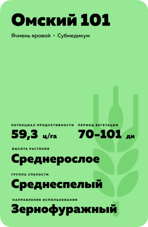 Омский 101