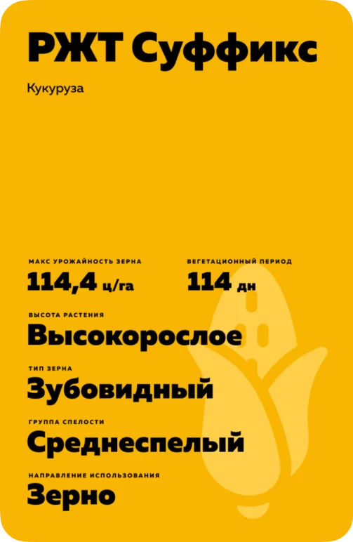РЖТ Суффикс (RGT SUFFIXXE)