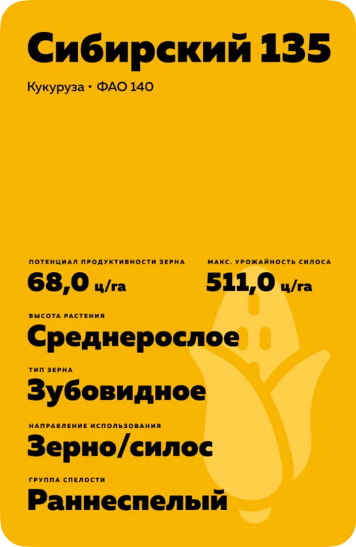 Сибирский 135