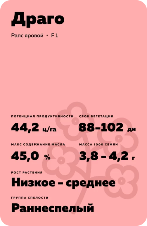 Драго (DRAGO) рапс яровой