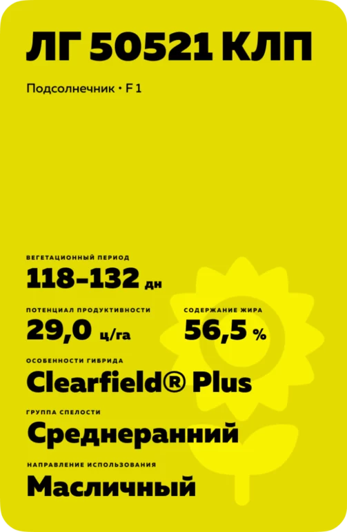 ЛГ 50521 КЛП подсолнечник Лимагрейн