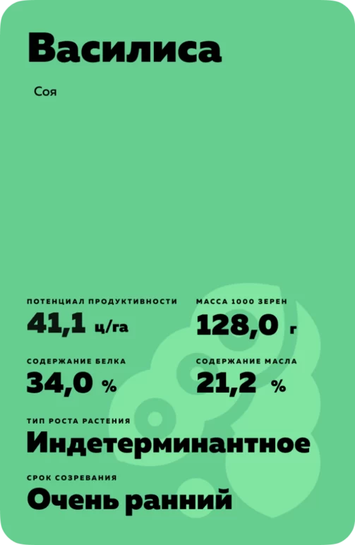 Василиса сорт сои