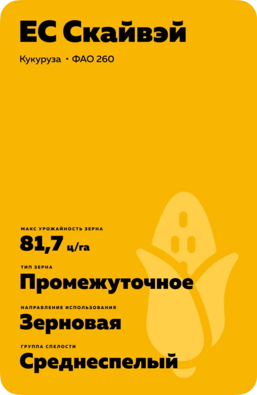 ЕС СКАЙВЭЙ - гибрид кукурузы ( Zea mays L.).
