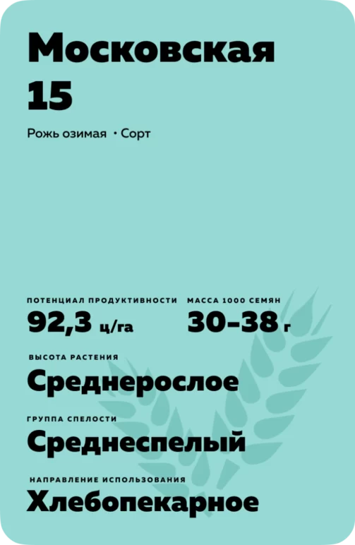 Московская 15