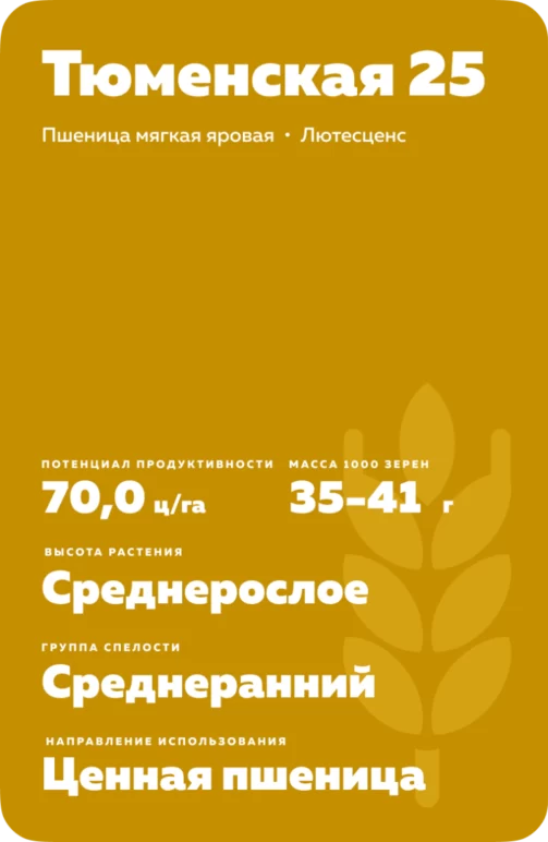 Тюменская 25