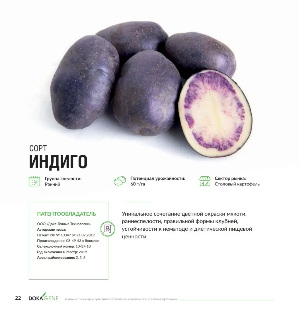 Индиго - картофель. Характеристики и отзывы