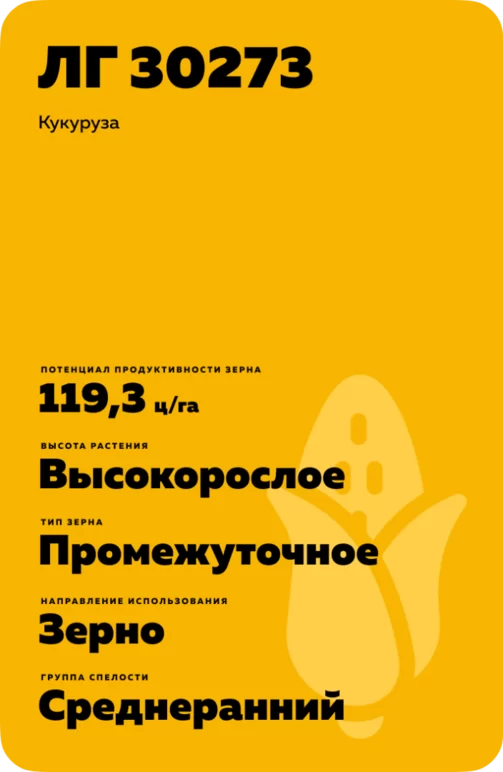 ЛГ 30273 гибрид кукурузы