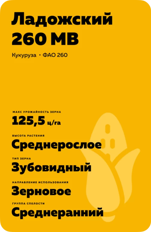 Ладожский 260 МВ
