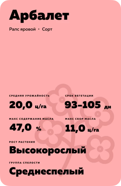 Арбалет рапс яровой