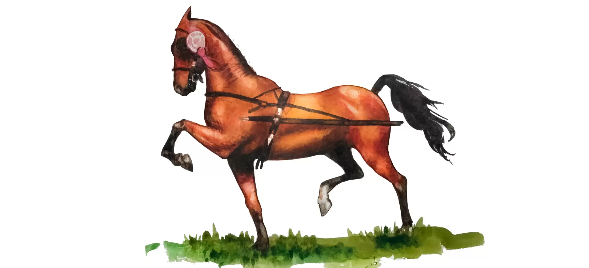 Хакнэ (хакне, гакне) – порода лошадей
