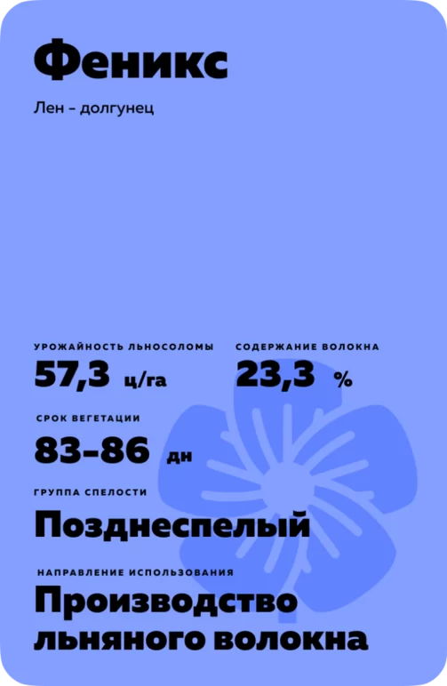 Феникс