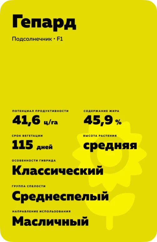 Гепард