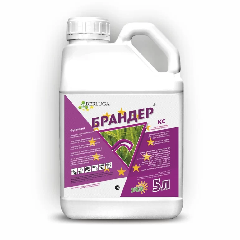 Брандер, КС