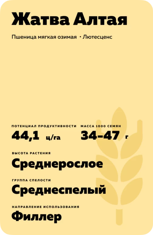 Жатва Алтая