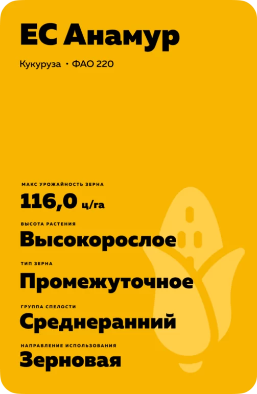 ЕС Анамур (ES ANAMUR)