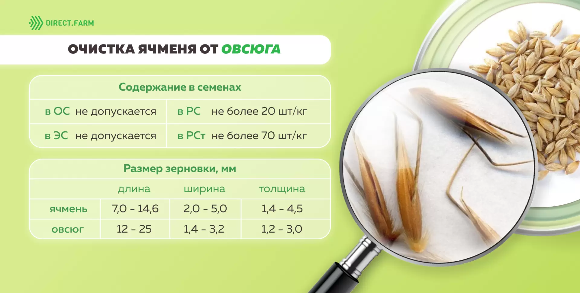 Технология возделывания пивоваренного ячменя